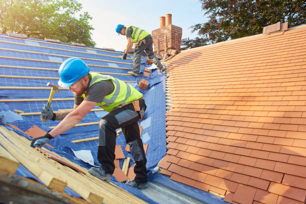 Roof Insulation in Sierra Vista, AZ